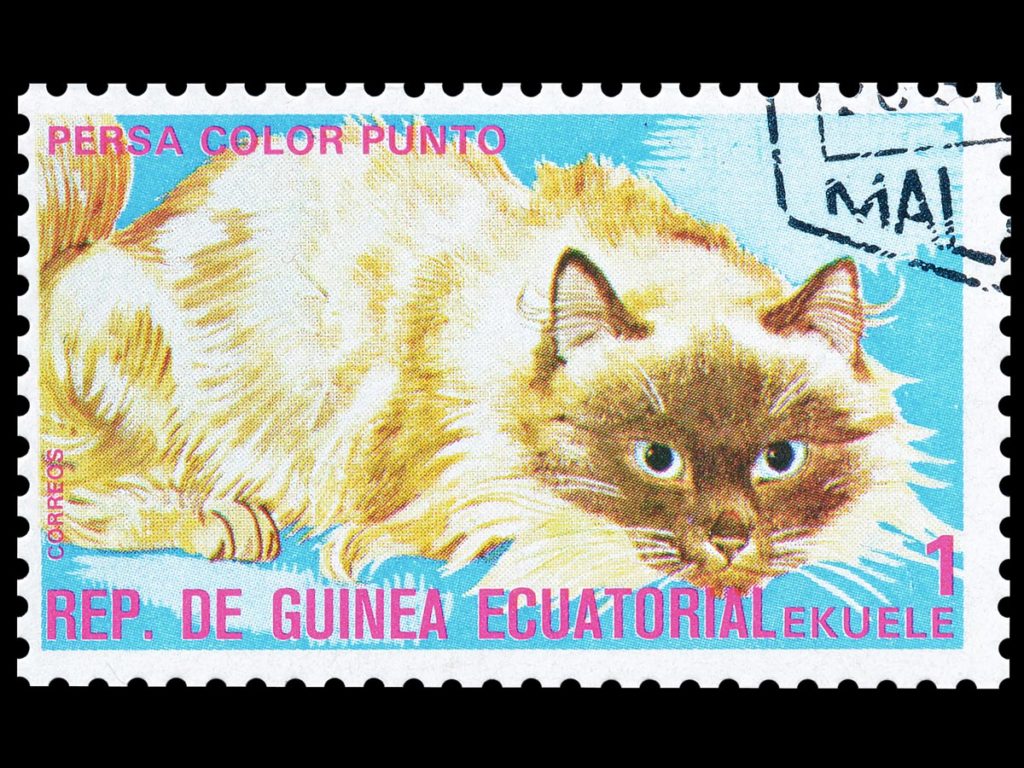 Equatorial Guinea rare stamps for philatelists and other buyers
