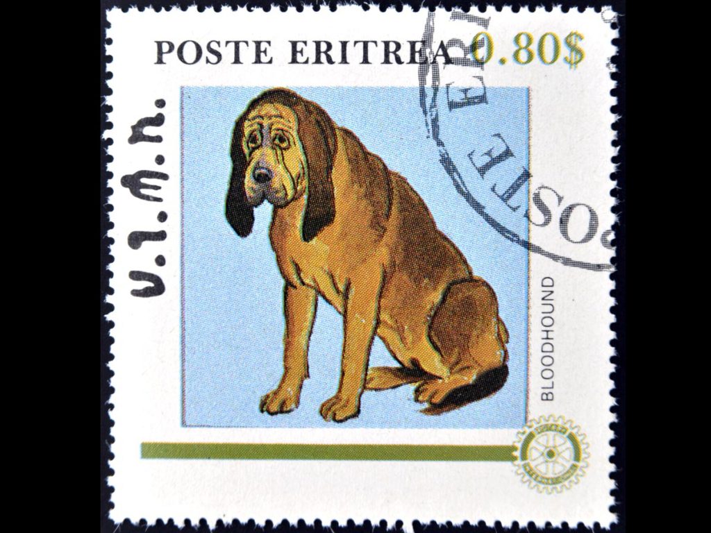 Eritrea rare stamps for philatelists and other buyers