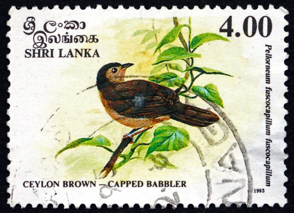 Sri Lanka rare stamps for philatelists and other buyers