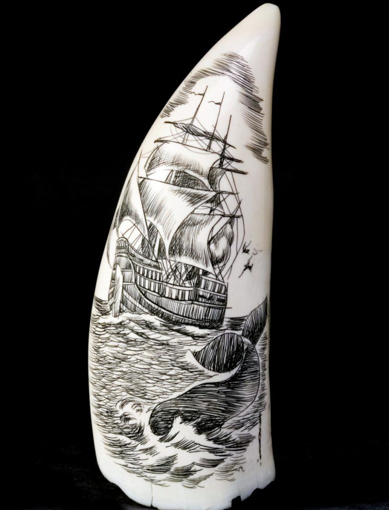 Unique and Rare Antique and Collectible Scrimshaw Items