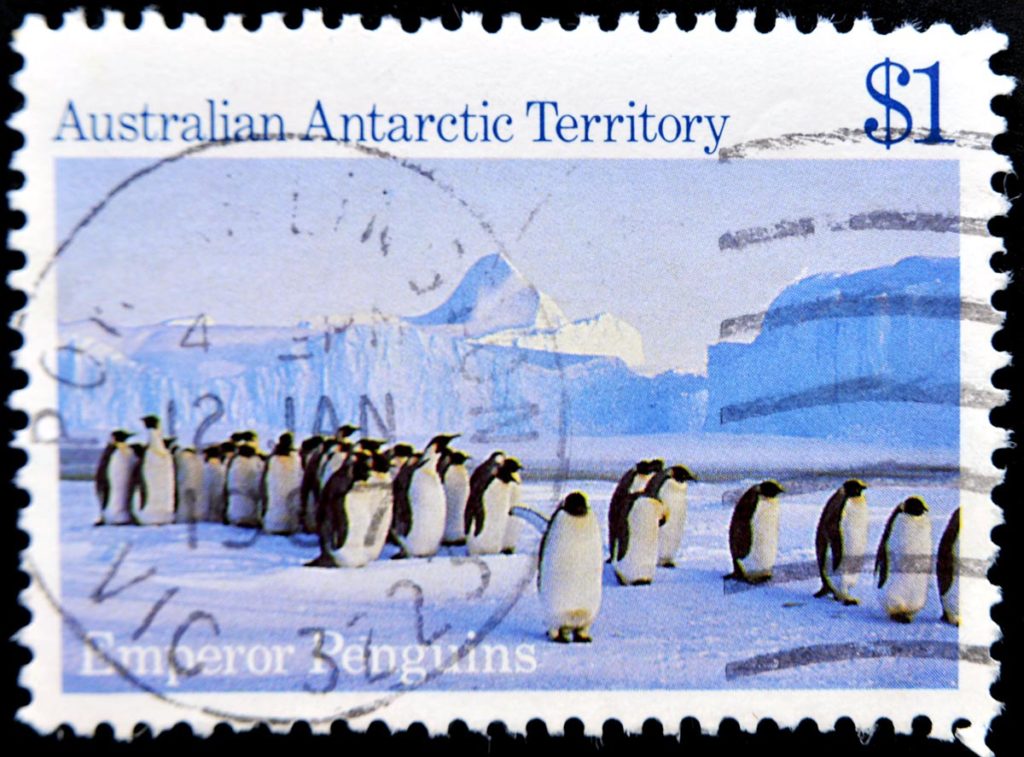 Australian Antarctic Territory rare stamps for philatelists