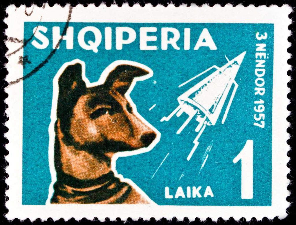 Albania stamps: Shqiperia and Laika the dog