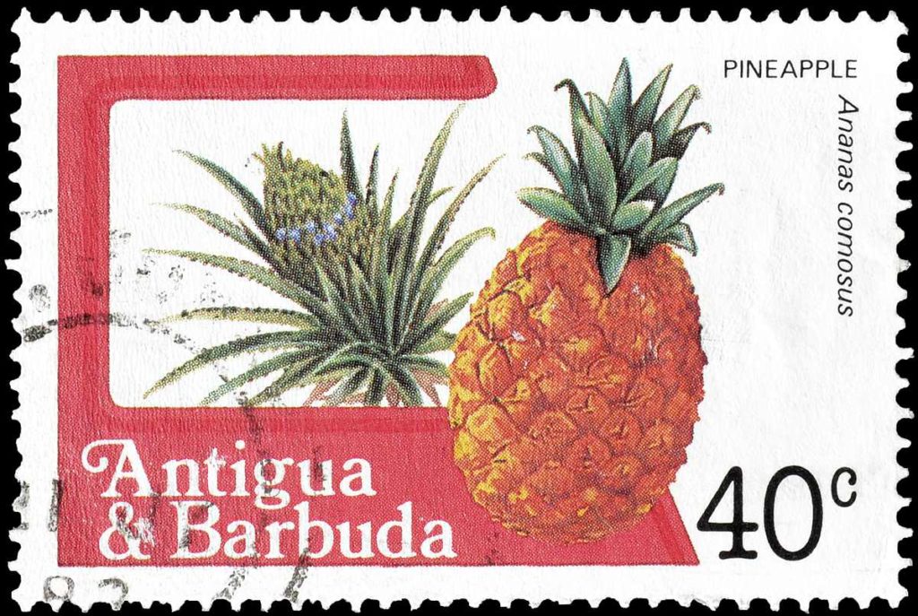 Antigua and Barbuda stamps: Pineapple
