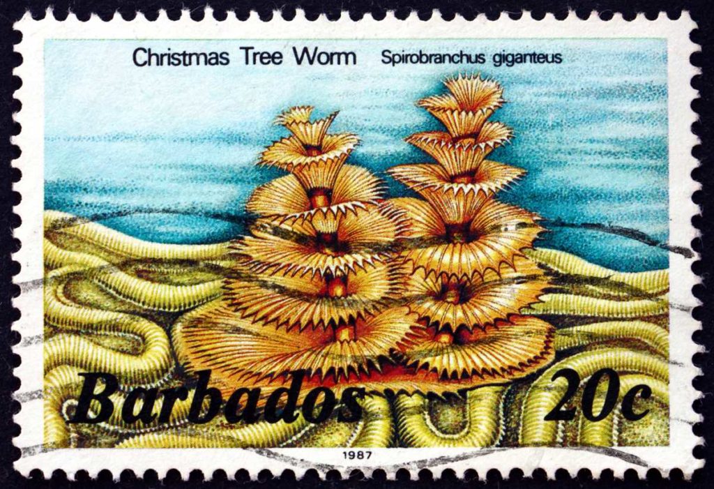 Barbados rare stamps for philatelists and other buyers