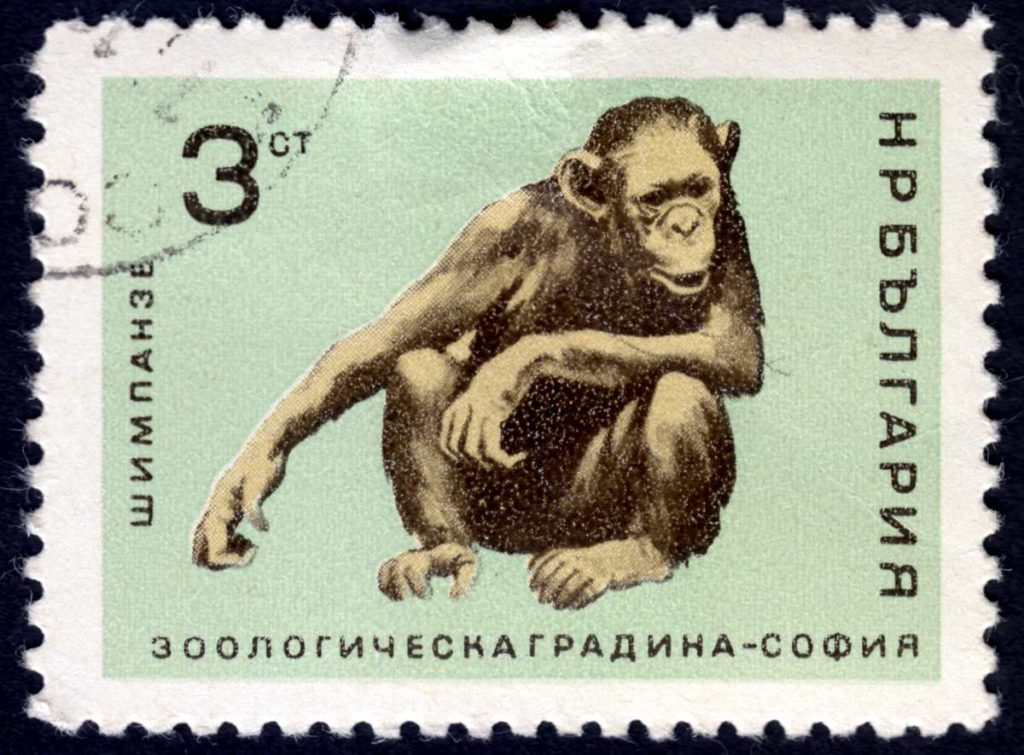 Bulgaria rare stamps for philatelists and other buyers